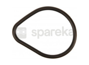 Anel o-ring para tampa da bomba 15131-ZE9-003