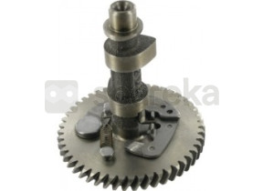 Camshaft set 14100-ZE1-812