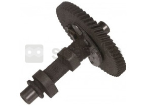 Camshaft set 14100-ZF6-W01