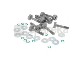Conjunto de 10 parafusos 0000-007-1043