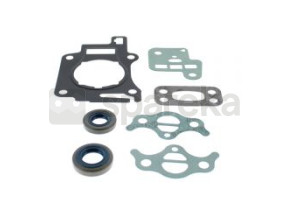 Conjunto de selos do motor 4149-007-1600