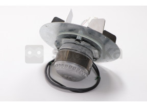 Extractor de gases de combustão 2271014