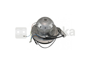Extractor de gases de combustão 2271023