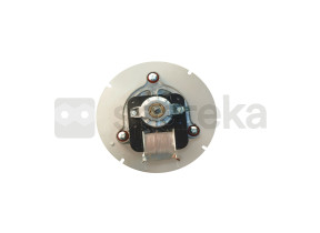 Extractor de gases de combustão 2271119