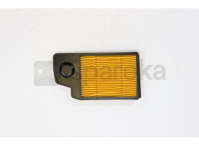 Filtro de ar 4102821