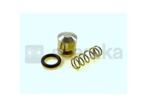 Folga do pistão da bomba 1139-120-9700