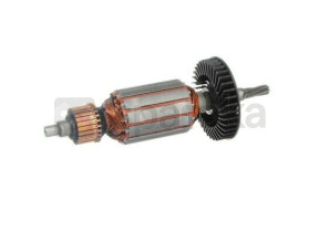 Induzido 2609001195
