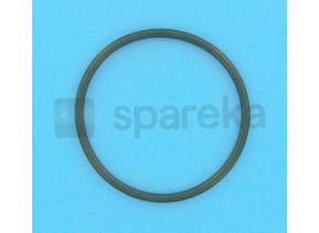 Lifegard /gc/hd/chlor.auto hd cap o-ring R172009