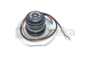 Motor extractor de fumos RI.02281