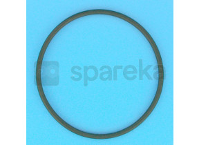 O-ring 123,2 x 5,8 19\' e 24\' triton sup/tag/azur válvula R281008