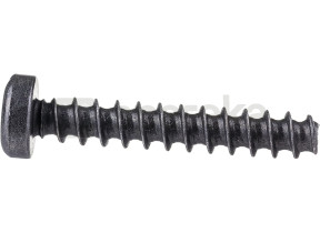 Parafuso de cabeça torx 2603490024