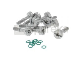 Screw set (10) 0000-007-1044